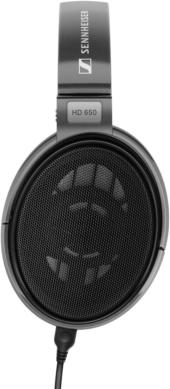 Sennheiser Consumer Audio HD 650 - Audiophile Hi-Res Open Back Dynamic Headphone, Titan