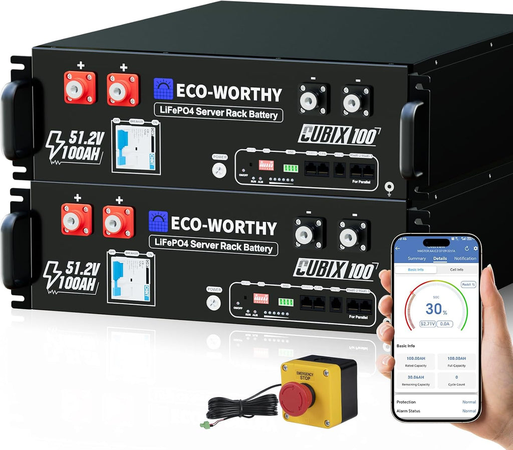 ECO-WORTHY 48V 200Ah LiFePO4 Lithium Battery (2 Pack 48V 100AH) w/Bluetooth | UL1973 & UL9540A & CEC Listed | 10.24KWh Server Rack Battery for Solar Energy Storage, Home Backup Power