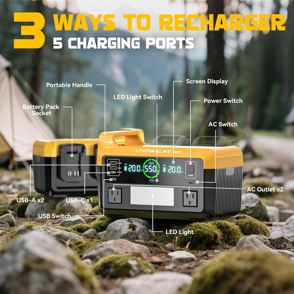 LIVOWALNY 550W Power Inverter Compatible with DeWALT 20V Battery, DC 20V to AC 110-120V Pure Sine Wave Power Station with 2 AC Outlets, 2 USB-A & 1 Type-C, for Camping Power Outage (No Battery)