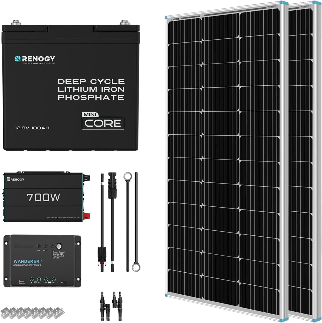 Renogy 200 Watt 12V Complete Solar Panel Starter Kit: 2pcs 100W Solar Panel + 30A Charge Controller + 100Ah Lithium Battery + 600W Premium Solar Inverter for RV Off Grid with Battery and Inverter