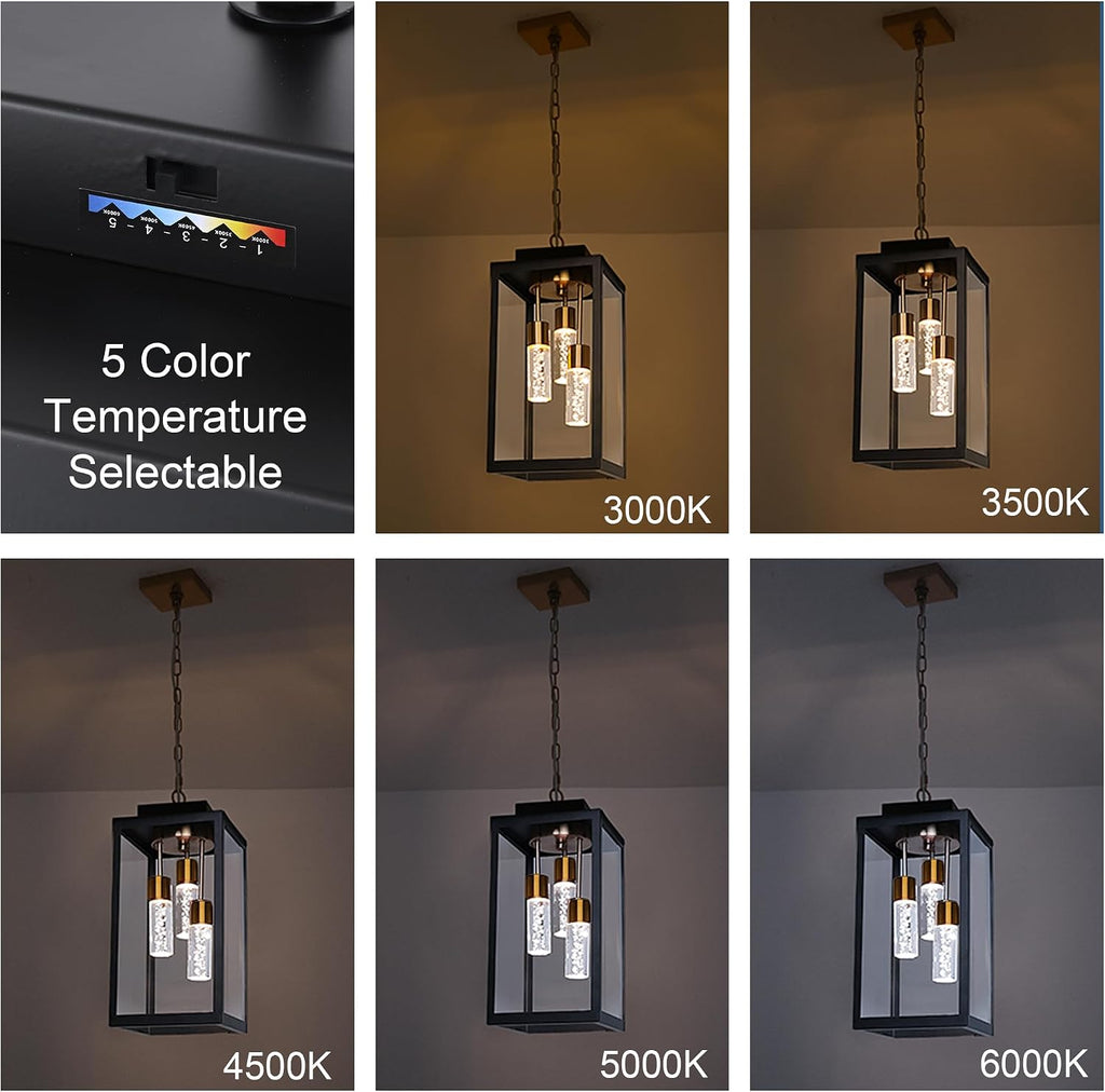MELUCEE 5 Color Dimmable LED Exterior Lantern Hanging Light Ceiling Mount with Clear Glass, Black 16 Inch Outdoor Pendant Light Outside Chandelier for Porch Garage Gazebo Patio, Built-in LED Chips