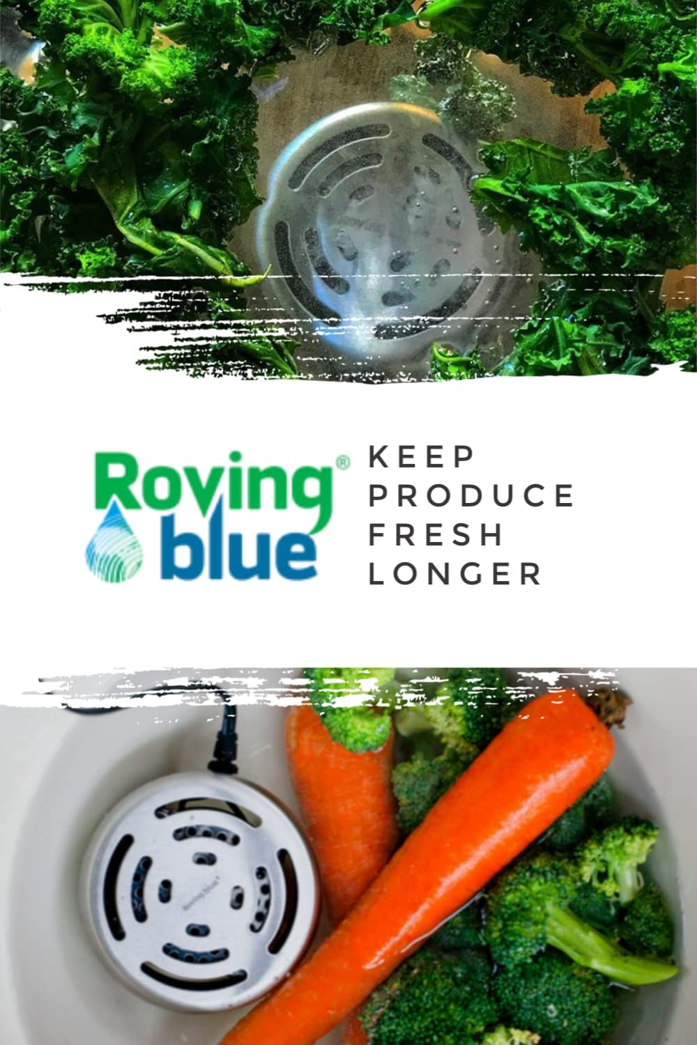Roving Blue Ozo-Pod 10 - Home Ozone Water Purifier - Fruit and Vegetable Cleaner - Athletic Gear Deodorizer Odor Eliminator - Multi Purpose Ozone Generator For Home