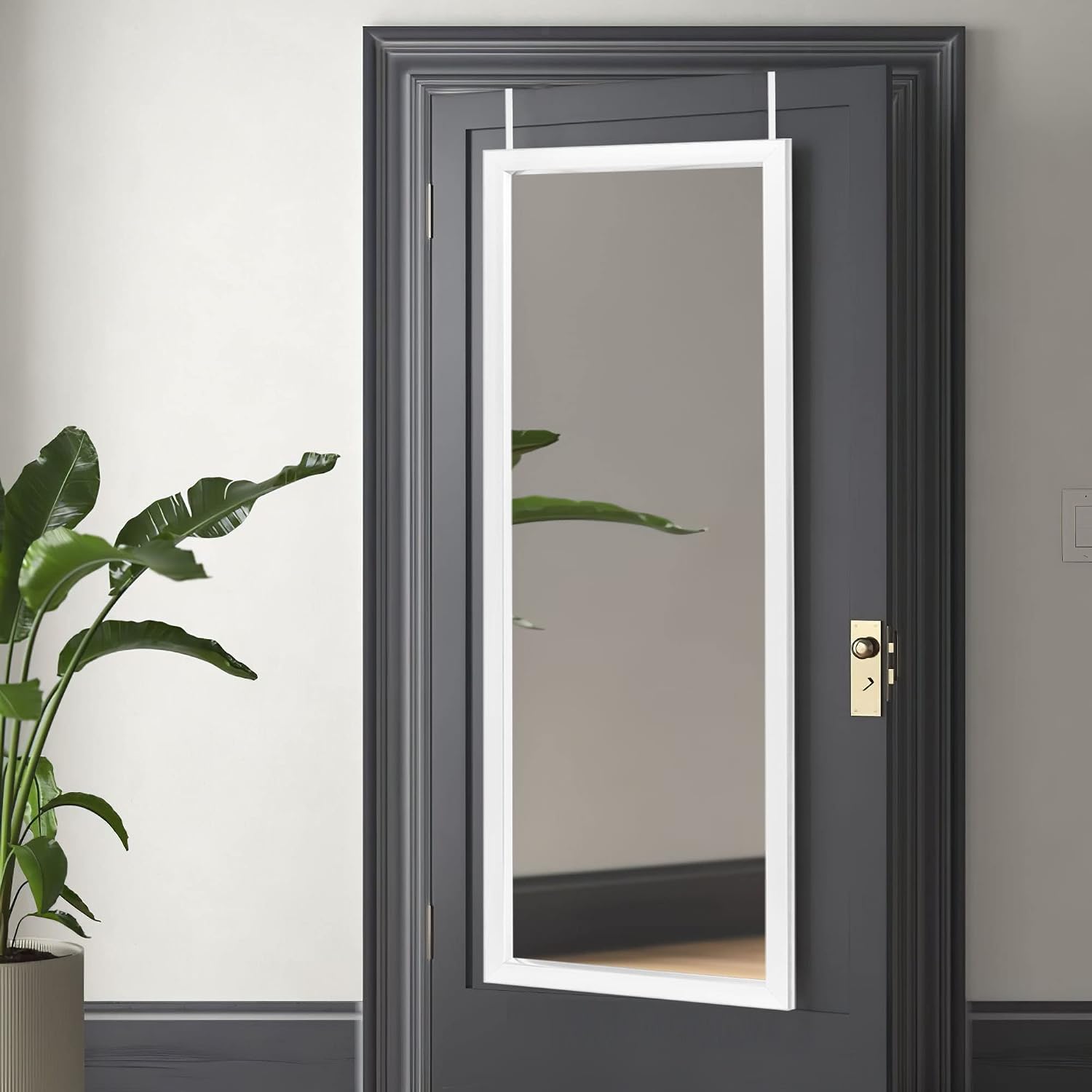 NeuType 47'x18' Over The Door Full Length Mirror, Wall Mount, White