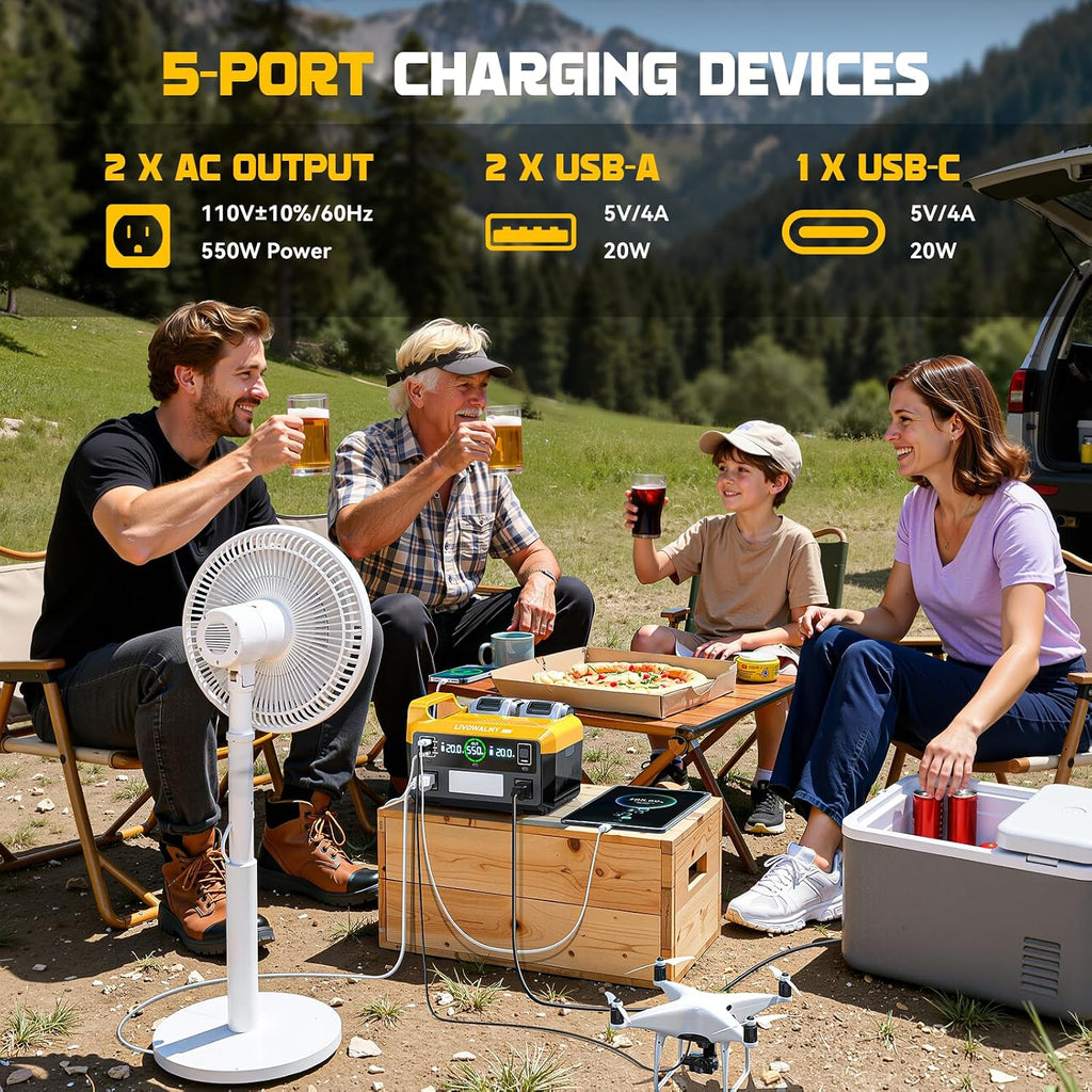 LIVOWALNY 550W Power Inverter Compatible with DeWALT 20V Battery, DC 20V to AC 110-120V Pure Sine Wave Power Station with 2 AC Outlets, 2 USB-A & 1 Type-C, for Camping Power Outage (No Battery)