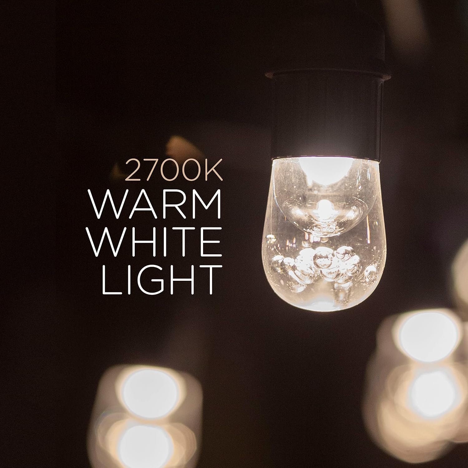 Enbrighten Classic Warm White String Lights, 48ft Black Cord, 24 Shatterproof Acrylic Bulbs, Weatherproof, Outdoor String Lights, 31664 (Pack of 2)