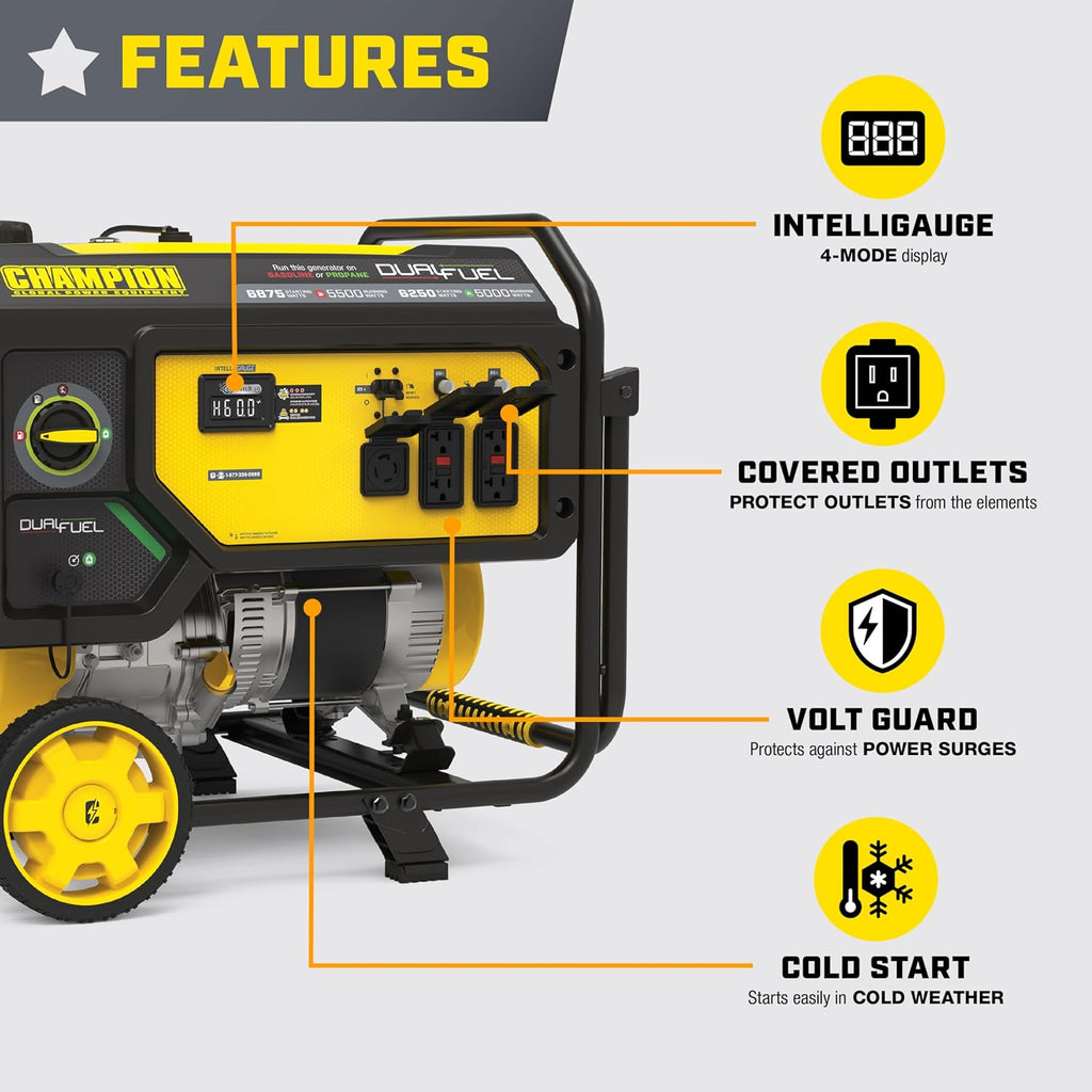 Champion Power Equipment 6875-Watt Dual Fuel Portable Generator with CO Shield®
