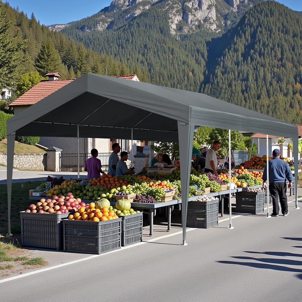 12x20ft Heavy Duty Waterproof Carport Tents,Outdoor Carport Car Canopy Tent,Sturdy Large Carports Tents,UV Protection Patio Gazebo Canopy Tent,with Metal Frame,for Outside Garden Yard Garage (Grey)