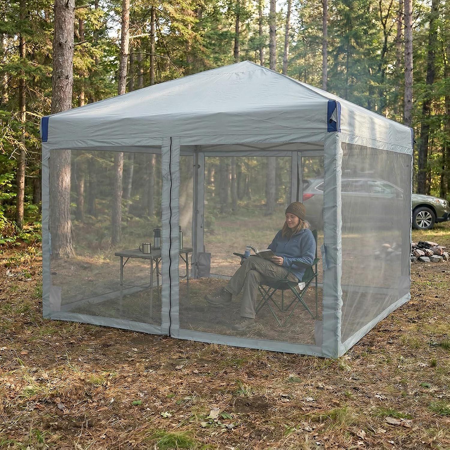 Aoodor 10x10 Ft Pop Up Canopy Tent with Netting, Water-Resistant 210D Oxford Fabric Shade, Easy Assembly Commercial Gazebo with Wheeled Carry Bag & 4 Sand Bags for Camping, Party, Gray