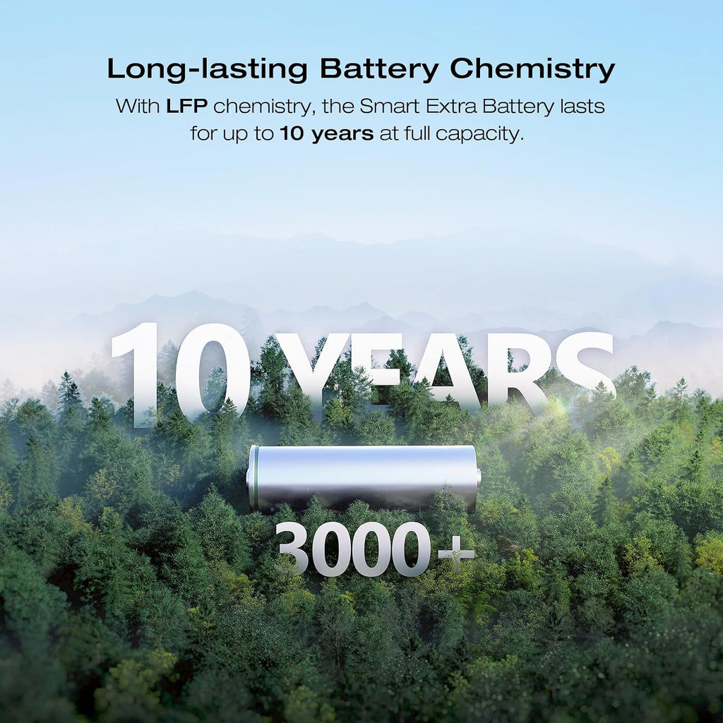 EF ECOFLOW DELTA 2 Max Power Station Extra Battery, 2048Wh LiFePO4 (LFP) Battery, Compatible with DELTA 2&DELTA Max 2000&DELTA 2 Max Outdoor Generators