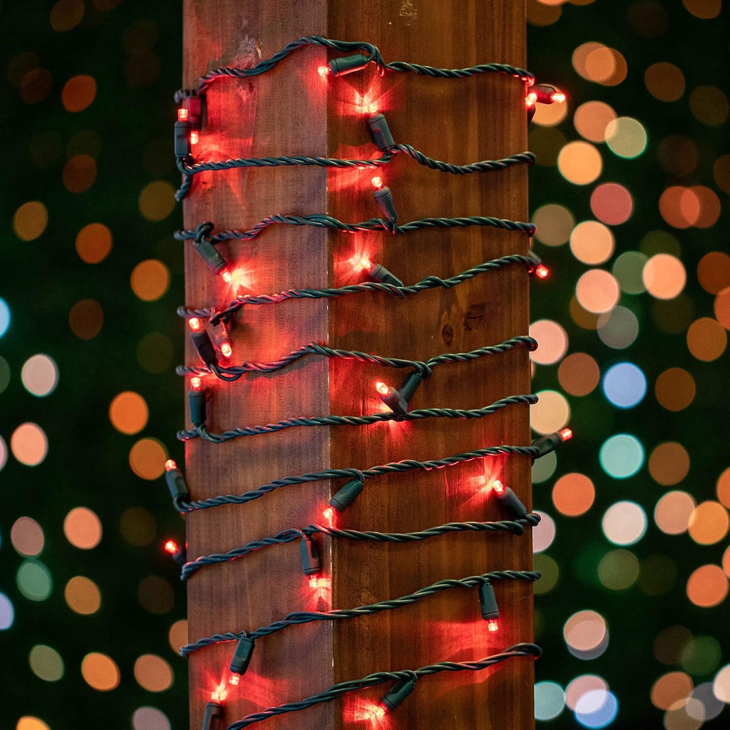 Novelty Lights 12-Pack, 50 Feet 100 LED Red Christmas Mini Light String on Green Wire, 5mm Wide Angle Bulbs, Connectable, Indoor/Outdoor Decor, UL Listed