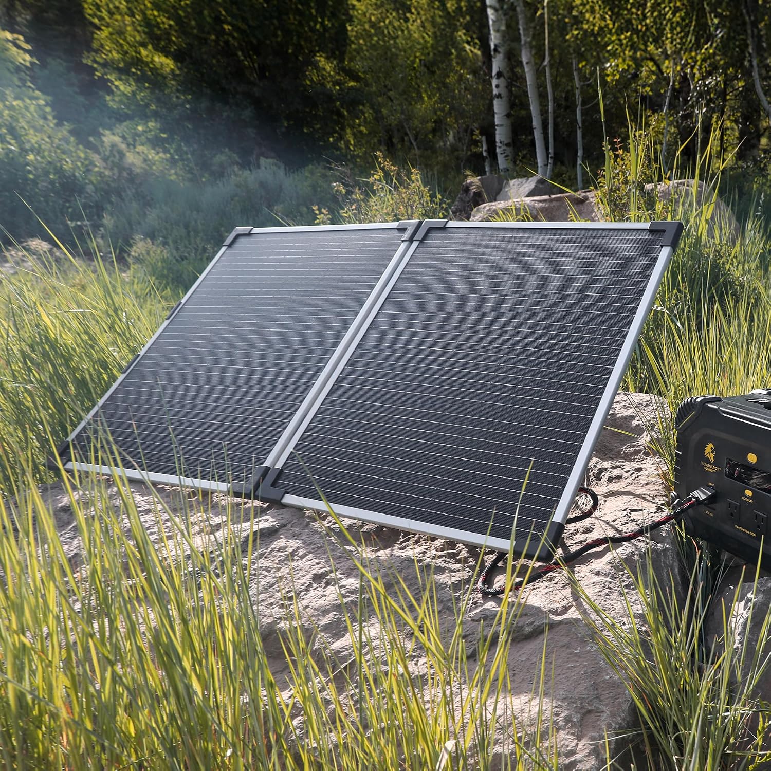 Lion Energy 100 Watt 24V Portable Solar Panel, Foldable Charger for RV, Camping, Generators, and Off-Grid Outdoor Power Needs