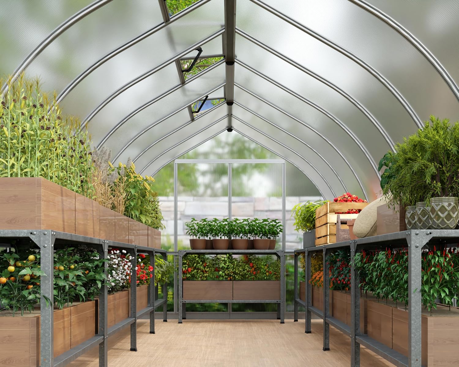 Palram - Canopia Bella Greenhouse Kit, 8x24, UV Protected, Wind & Weather Resistant, Polycarbonate Panels with Twin Glazing, Maintenance Free Outdoor Garden Walk-in Green Structure, 5 Year Warranty