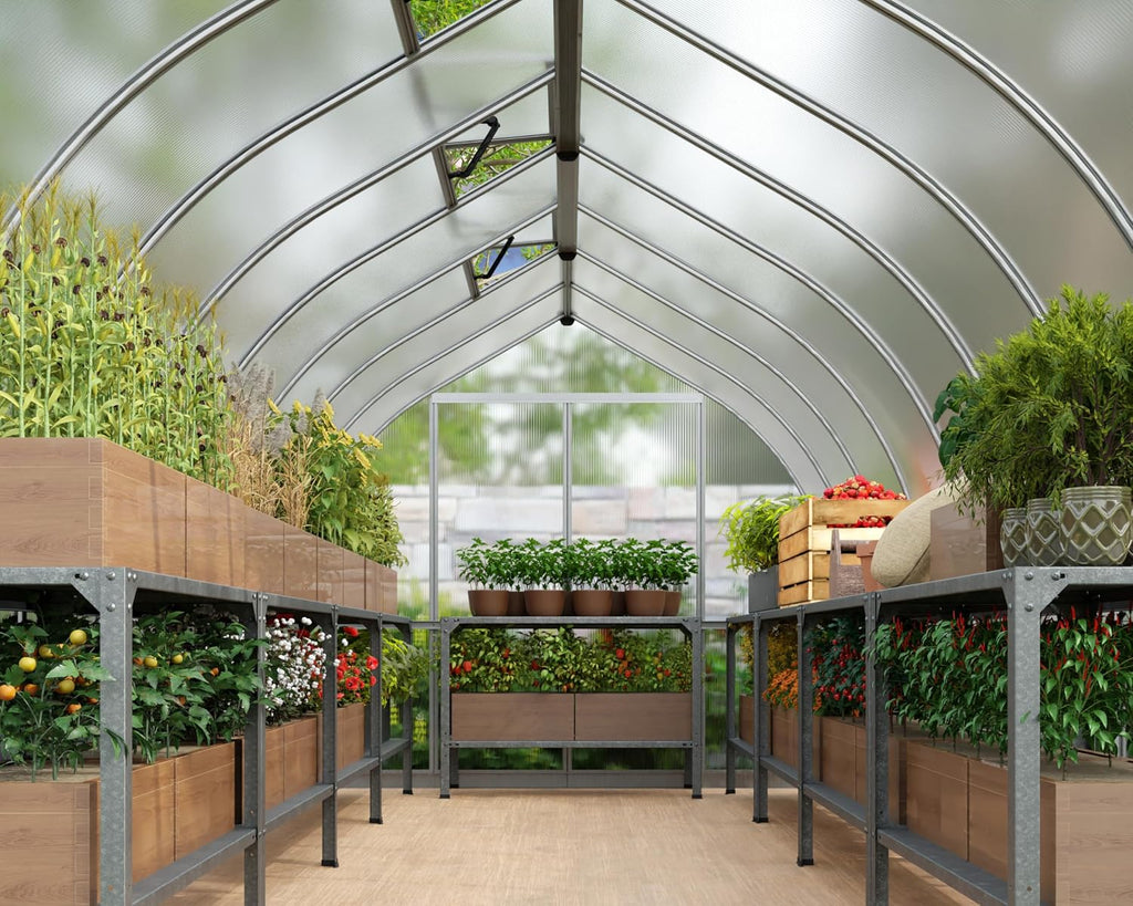 Palram - Canopia Bella Greenhouse Kit, 8x32, UV Protected, Wind & Weather Resistant, Polycarbonate Panels with Twin Glazing, Maintenance Free Outdoor Garden Walk-in Green Structure, 5 Year Warranty